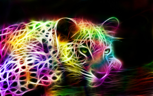 Rainbow cat 01.jpg