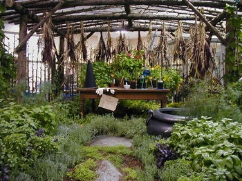 Witches Brew Greenhouse.jpg
