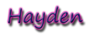Hayden logo.png