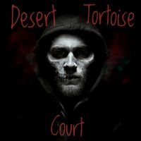 Desert-tortoise-court.jpeg