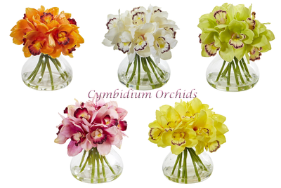Cymbidium-orchids-snapshot.png