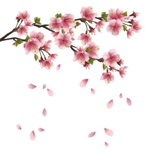 F8df4b6b17ae9619b5ff75fdc8fa6865--cherry-blossom-drawing-flower-blossom.jpg
