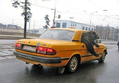 Russian Cab.jpg
