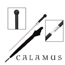 Calamus-01.jpg