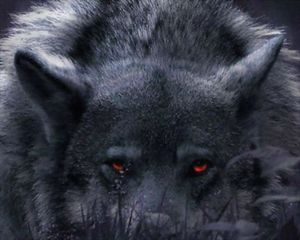 Black Wolf with red eyes.jpg
