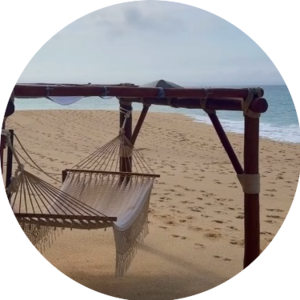 Beachhammock.png